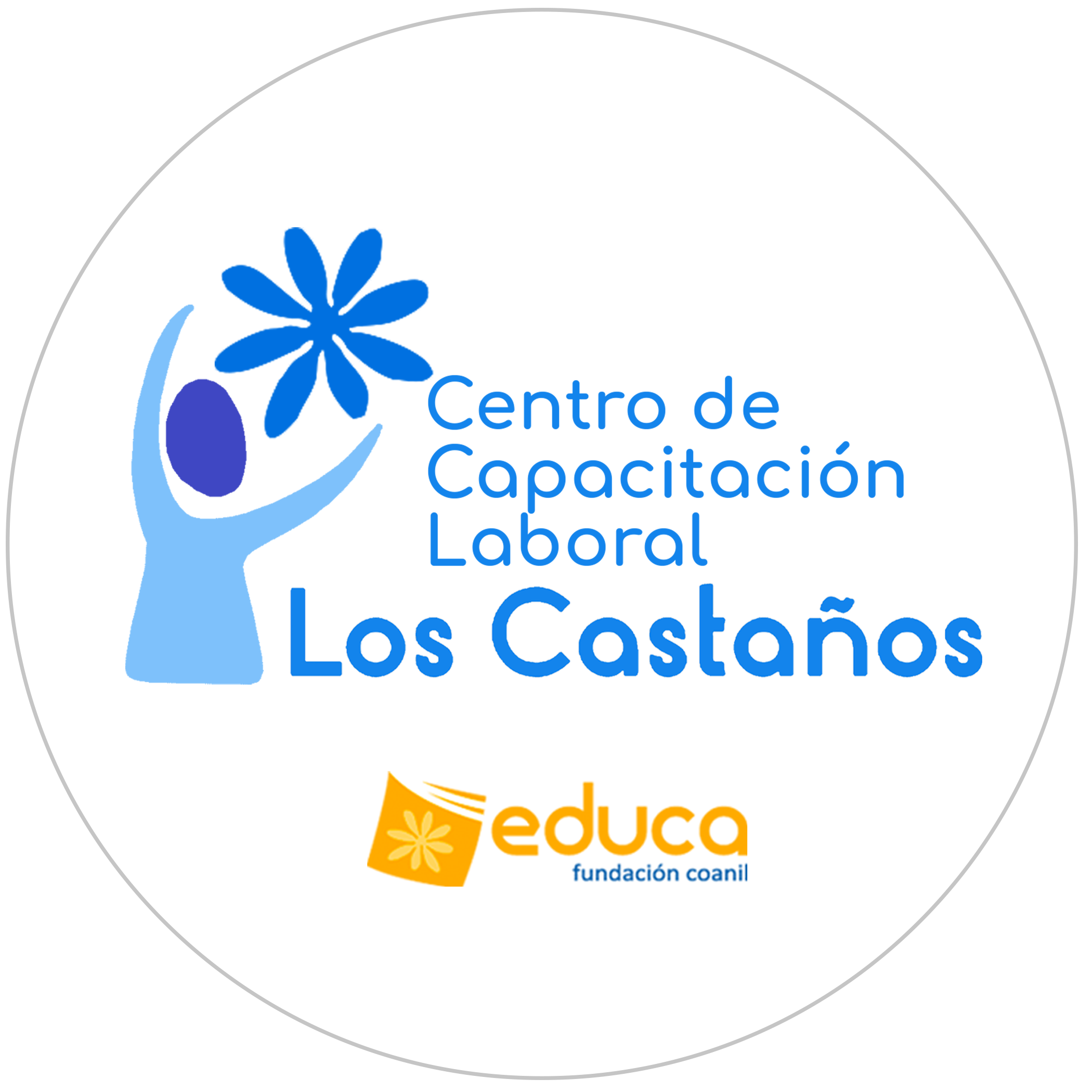 ipp_centrodecapacitacinlaboralloscastaospertenecienteafundacineducacionalcoanil
